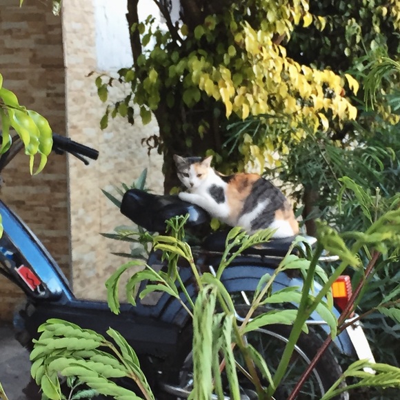 meet your posher :-) - Picture 4 of 4